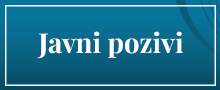 Javni pozivi